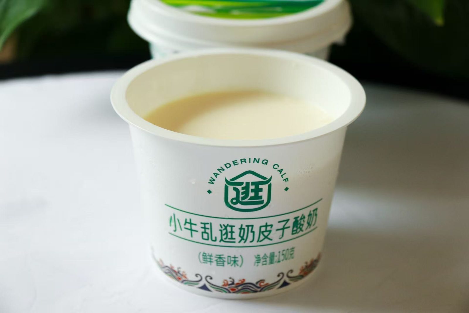 开盖的奶皮子酸奶，杯口结着一层奶皮。