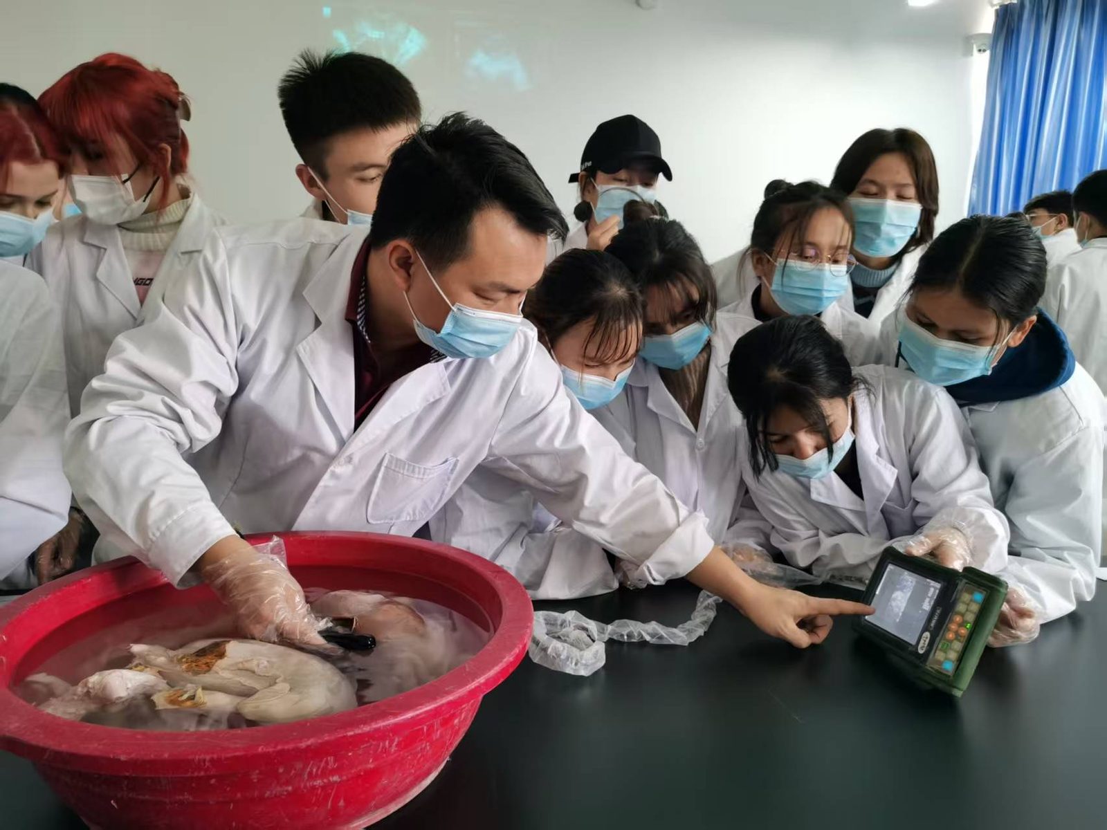 实验室课堂，教具盛在盆里。